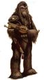 Wookiee