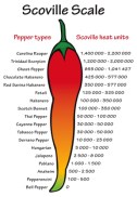 Scoville pepper heat scale vector