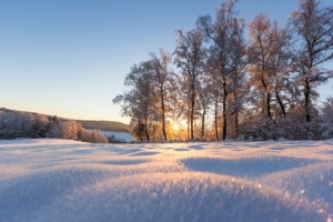 Winterlandschaft Schwarzwald